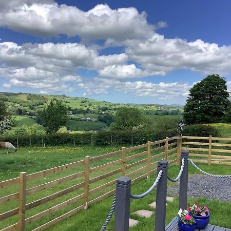 The Shepherd S Hut At Hafoty Boeth Corwen Exterior photo