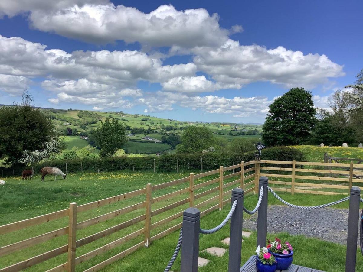 The Shepherd S Hut At Hafoty Boeth Corwen Exterior photo