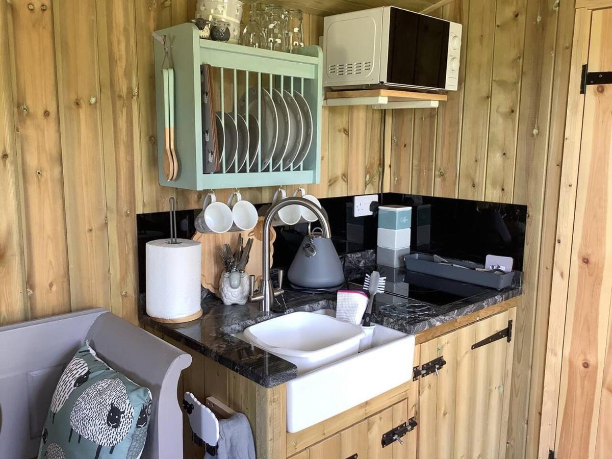 The Shepherd S Hut At Hafoty Boeth Corwen Exterior photo