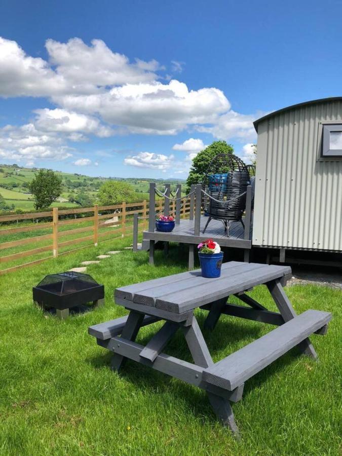 The Shepherd S Hut At Hafoty Boeth Corwen Exterior photo