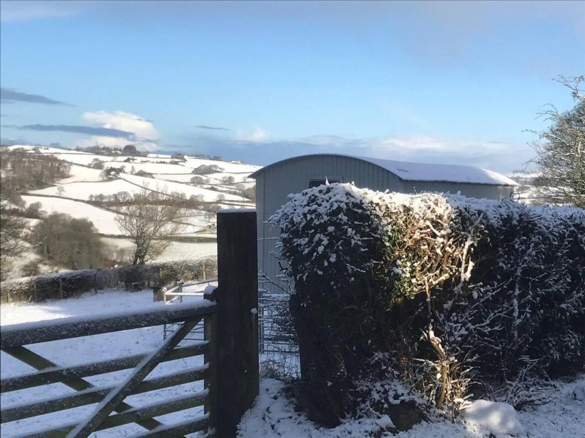 The Shepherd S Hut At Hafoty Boeth Corwen Exterior photo