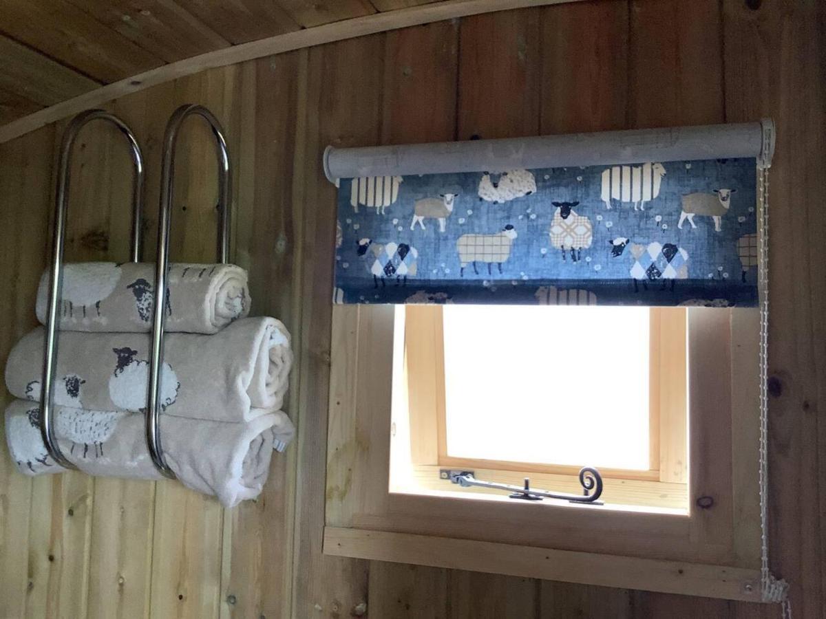 The Shepherd S Hut At Hafoty Boeth Corwen Exterior photo