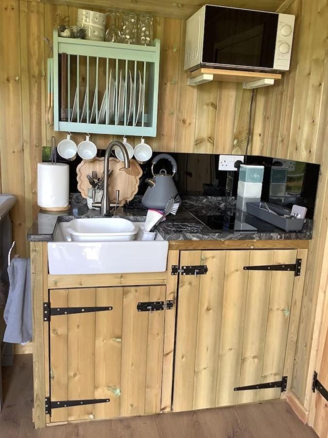 The Shepherd S Hut At Hafoty Boeth Corwen Exterior photo