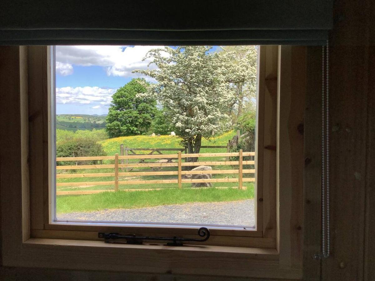 The Shepherd S Hut At Hafoty Boeth Corwen Exterior photo