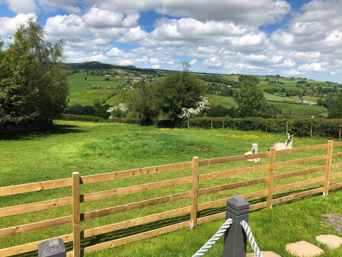 The Shepherd S Hut At Hafoty Boeth Corwen Exterior photo